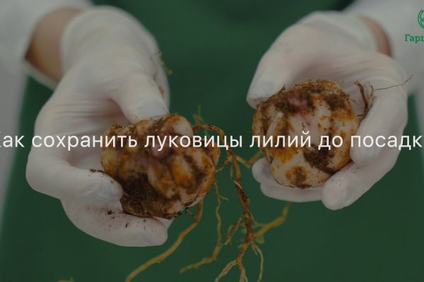 Кракен маркетплейс зеркало