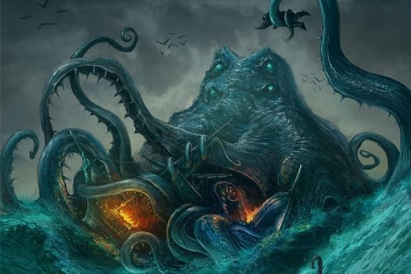 Kraken 24 top