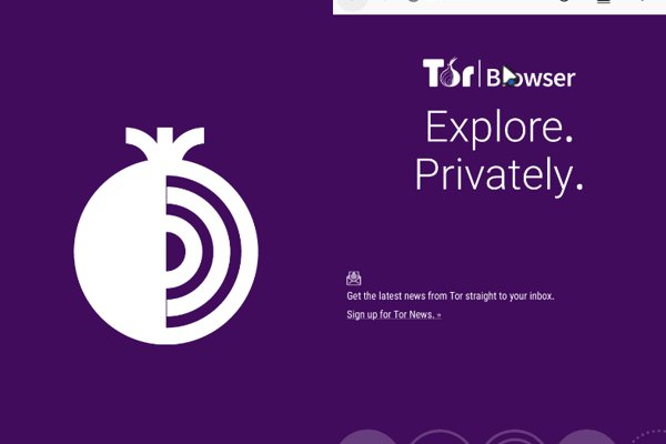 Kraken рабочее зеркало onion