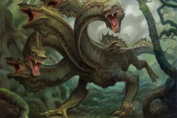 Kraken рабочий