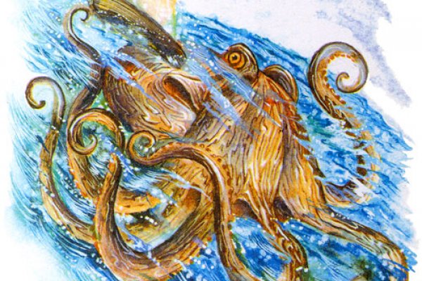 Ссылки зеркала на kraken