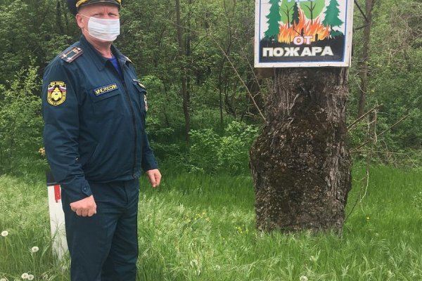 Ссылка на кракен тор магазин