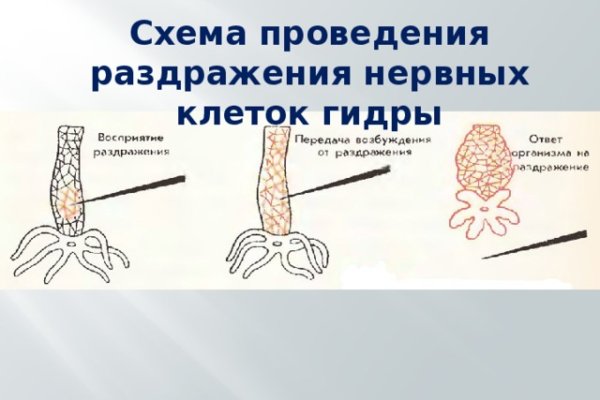 Кракен магазин нарков