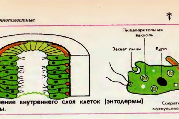 Кракен обход