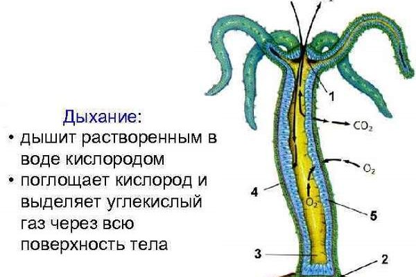 Нарко магазин кракен