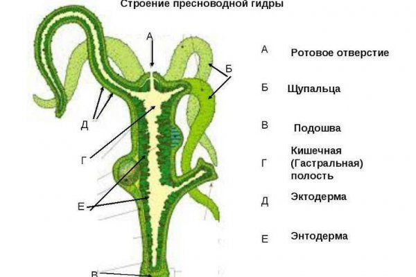 Кракен ссылка vtor